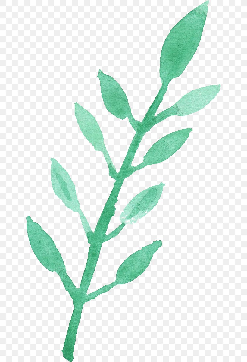 Leaf Watercolor Painting Clip Art, PNG, 647x1201px, Leaf, Branch, Color, Digital Media, Green Download Free