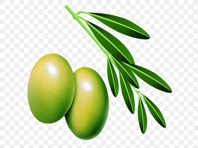 Olive Oil Olive Leaf, PNG, 658x613px, Olive, Food, Fruit, Grass, Gratis Download Free