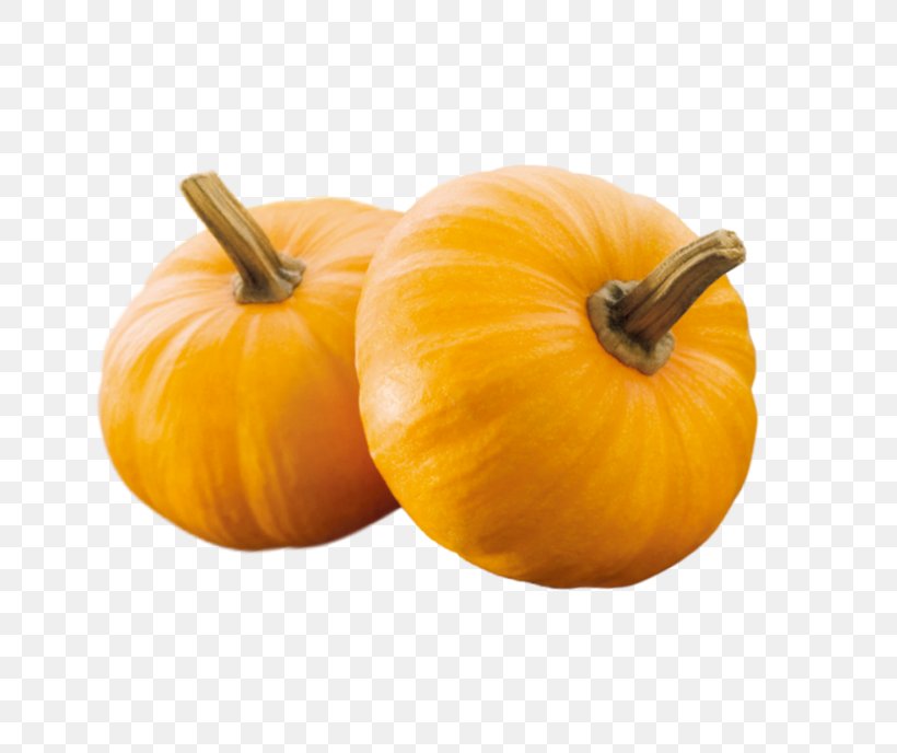 Pumpkin Pie Calabaza Gourd Winter Squash, PNG, 688x688px, Pumpkin, Calabaza, Cartoon, Chinese Cuisine, Cucumber Gourd And Melon Family Download Free