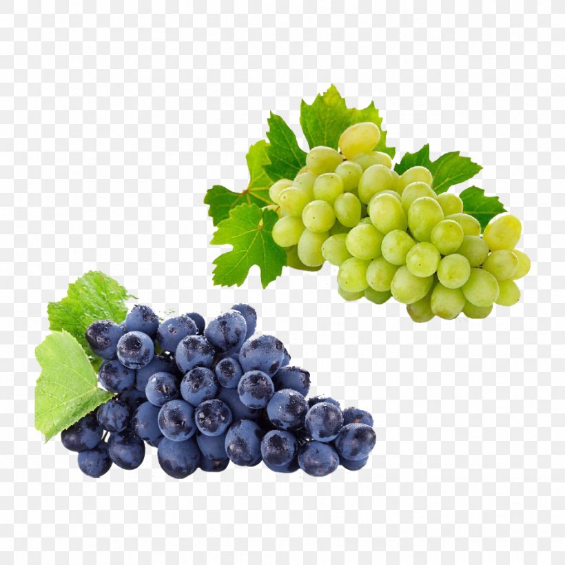 Red Wine Kyoho Zweigelt Concord Grape, PNG, 937x937px, Red Wine, Bilberry, Blueberry, Carrier Oil, Common Grape Vine Download Free