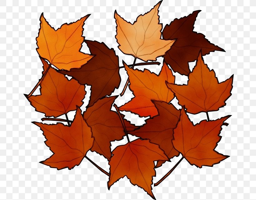 Autumn Tree Silhouette, PNG, 800x642px, Watercolor, Autumn Leaf Color, Beech, Black Maple, Deciduous Download Free