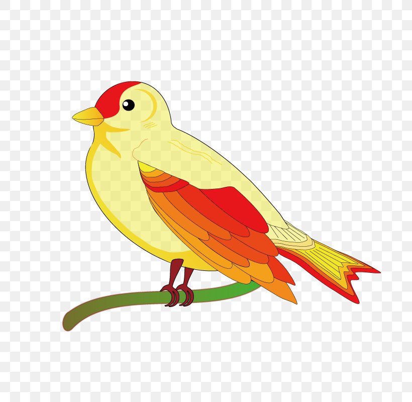 Bird Swallow Clip Art, PNG, 800x800px, Bird, Animation, Art, Beak, Bird Flight Download Free