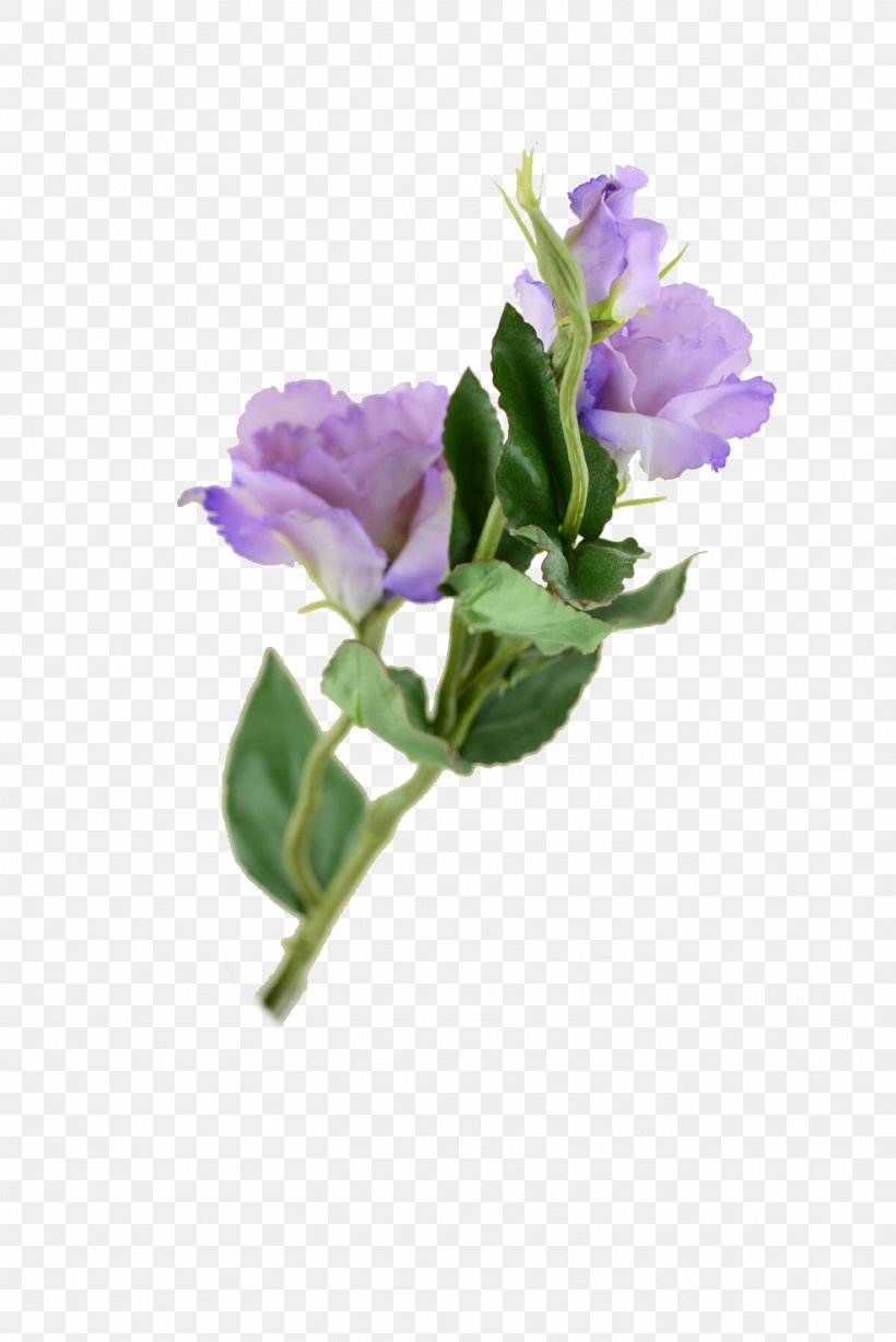 Cut Flowers Prairie Gentian Plant Stem Paper, PNG, 1367x2048px, Cut Flowers, Common Lilac, Flower, Flowering Plant, Paper Download Free