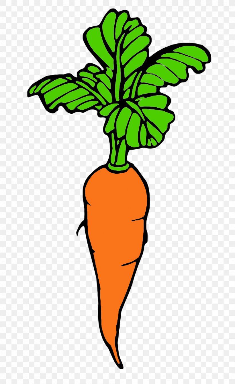 Line Art Plant, PNG, 1039x1696px, Line Art, Artwork, Carrot, Character, Coloring Book Download Free