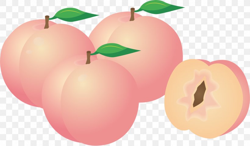 Longevity Peach Sticker Clip Art, PNG, 2387x1395px, Peach, Apple, Diet Food, Food, Fruit Download Free