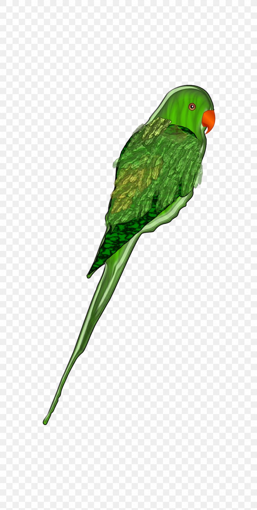 Parrot Bird Budgerigar Parakeet Clip Art, PNG, 968x1920px, Parrot, Beak, Bird, Bird Flight, Budgerigar Download Free