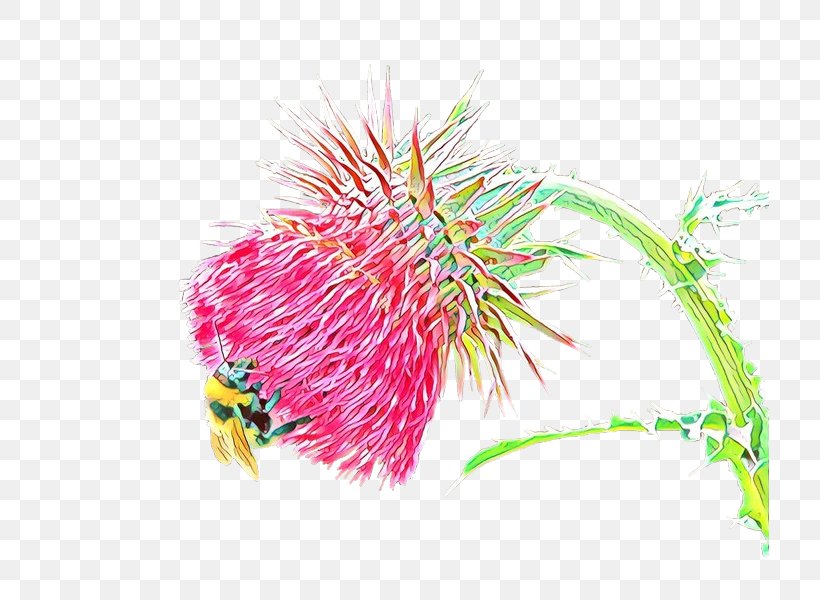 Pink Flower Cartoon, PNG, 719x600px, Flower, Grevillea, Pink, Plant Download Free