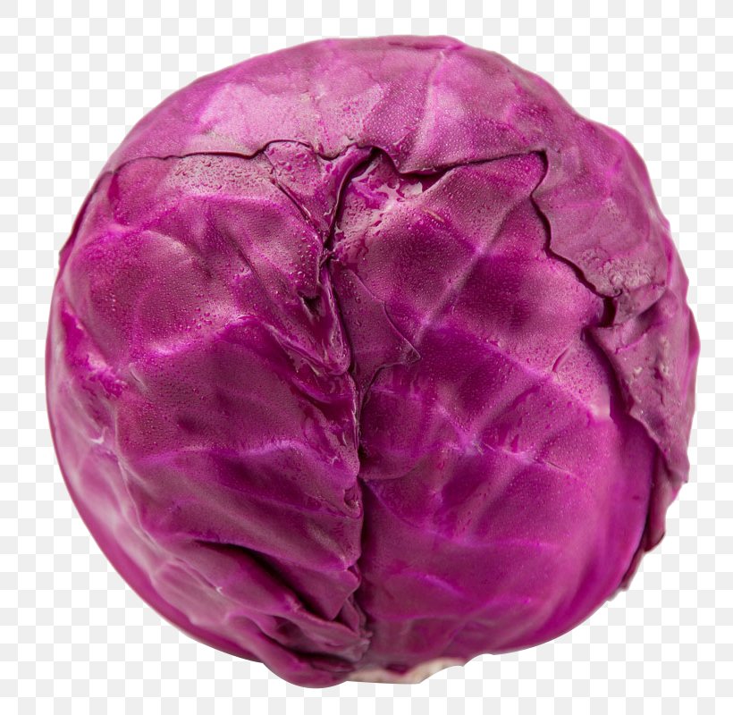 Red Cabbage Broccoli Vegetable Purple, PNG, 800x800px, Red Cabbage, Auglis, Brassica Oleracea, Broccoli, Cabbage Download Free