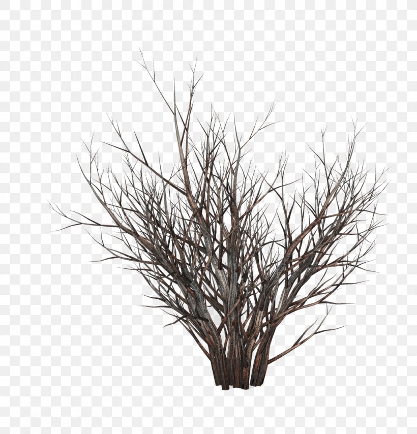 Stock Photography Tree Royalty-free Rendering, PNG, 1036x1079px, 3d Rendering, Stock Photography, Architectural Rendering, Black And White, Branch Download Free