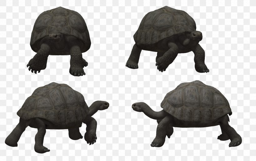 Turtle Reptile Tortoise, PNG, 2380x1500px, Turtle, Animal, Animal Figure, Fauna, Organism Download Free