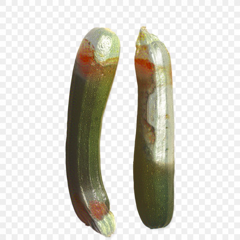 Vegetable Cartoon, PNG, 1200x1200px, Vegetable, Cucumber, Cucumis, Plant Download Free