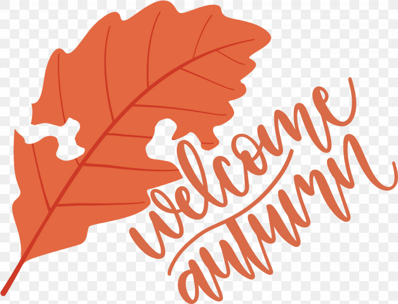 Welcome Autumn Autumn, PNG, 3000x2295px, Welcome Autumn, Autumn, Flower, Leaf, Line Download Free