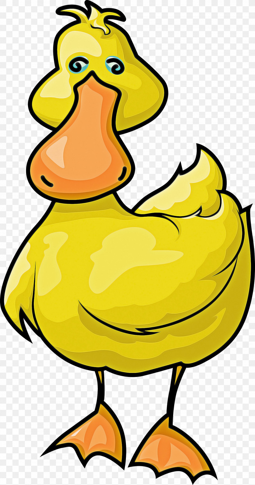 Bird Yellow Beak Cartoon Ducks, Geese And Swans, PNG, 1312x2500px, Bird, Beak, Cartoon, Duck, Ducks Geese And Swans Download Free