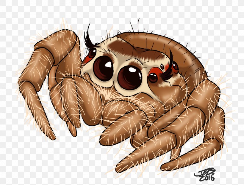 Jumping Spider Drawing Tattoo, PNG, 1545x1177px, Spider, Animal, Art, Arthropod, Can Stock Photo Download Free