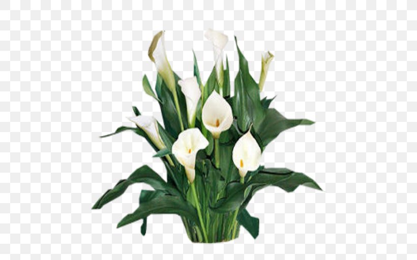 Plant Cut Flowers Arum-lily Lilium, PNG, 512x512px, Plant, Artificial Flower, Arumlily, Calla Lily, Cut Flowers Download Free