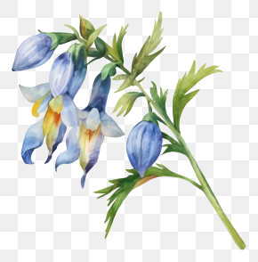 Blue Bellflower - Blue Flowers With Green Leaves PNG