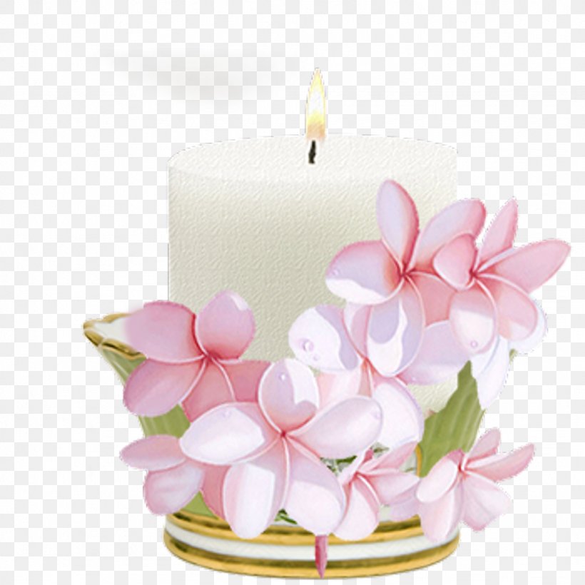 Candle Software Versioning Birthday, PNG, 1024x1024px, Candle, Adelaide Hiebel, Birthday, Cut Flowers, Data Download Free