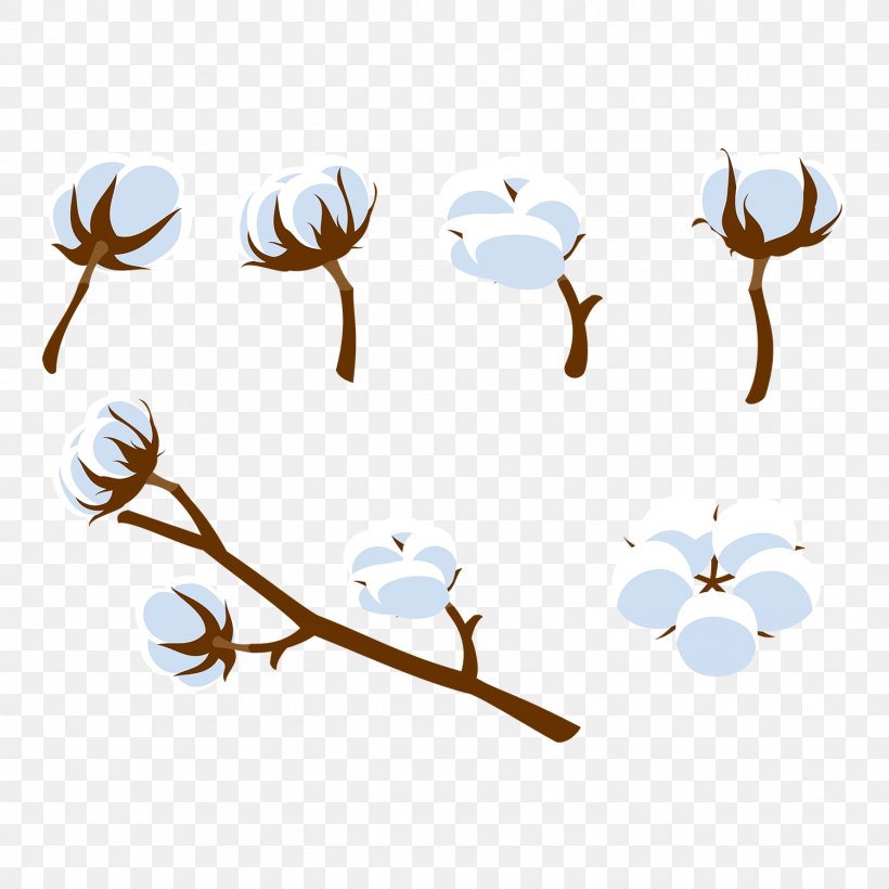 Cotton Design Petal Clip Art White, PNG, 1500x1500px, Cotton, Branch, Color, Flower, Image Resolution Download Free