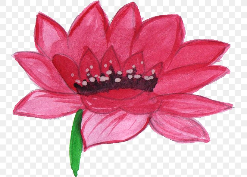 Flower Petal Pseudanthium Watercolor Painting, PNG, 746x588px, Flower, Blue, Cut Flowers, Flowering Plant, Magenta Download Free