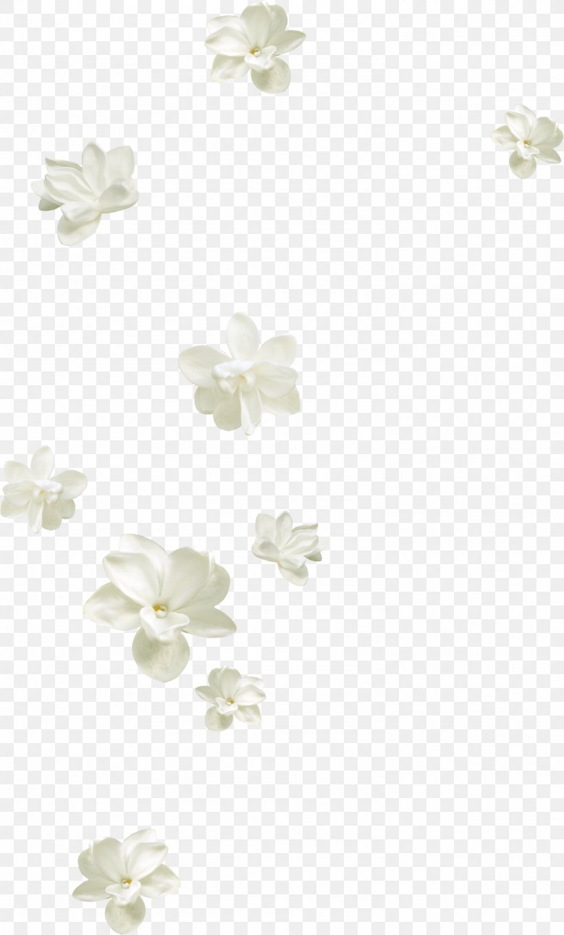 Flower Petal White, PNG, 1487x2465px, Flower, Designer, Petal, Ribbon, Textile Download Free