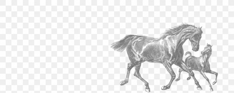 Foal Mare Clydesdale Horse American Quarter Horse Clip Art, PNG, 1000x400px, Foal, American Quarter Horse, Animal Figure, Artwork, Black Download Free