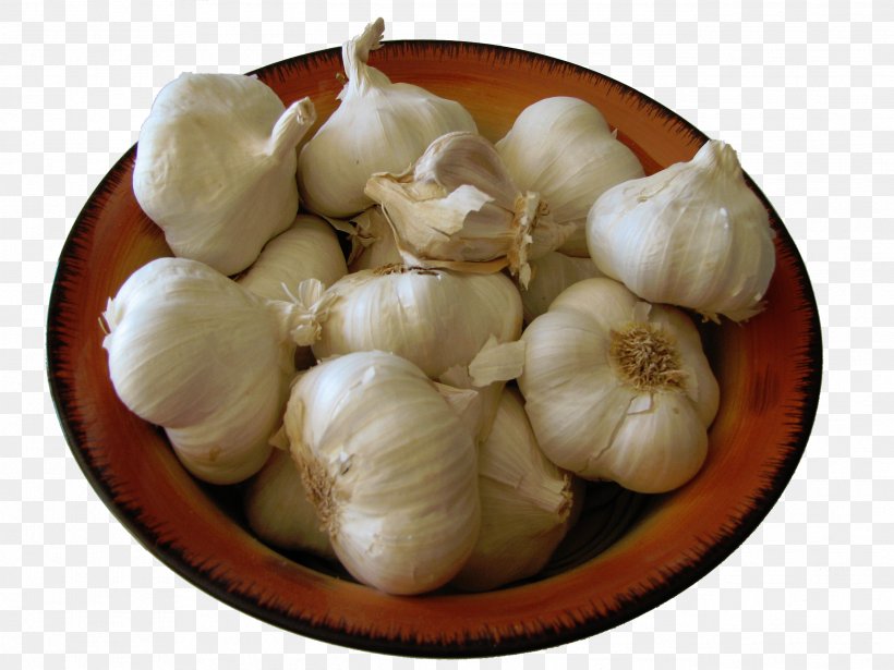 Garlic Vegetable Salsa Food Tourin, PNG, 2592x1944px, Garlic, Allicin, Elephant Garlic, Food, Health Download Free