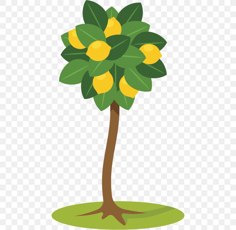 Lemon Tree Clip Art, PNG, 462x797px, Lemon, Branch, Citrus, Flora, Flower Download Free