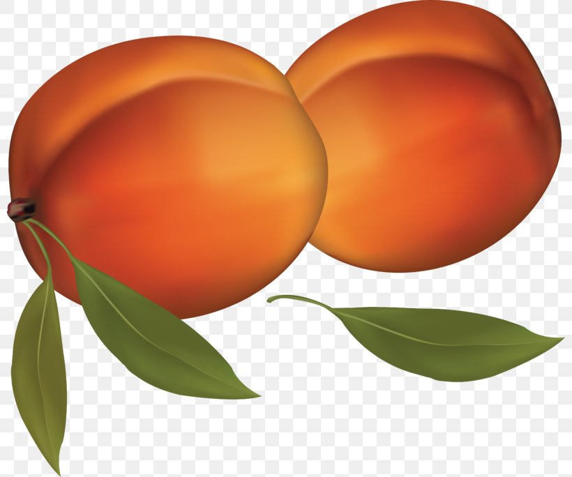 Peach Juice Clip Art, PNG, 800x684px, Peach, Apricot, Citrus, Diospyros, Ebony Trees And Persimmons Download Free