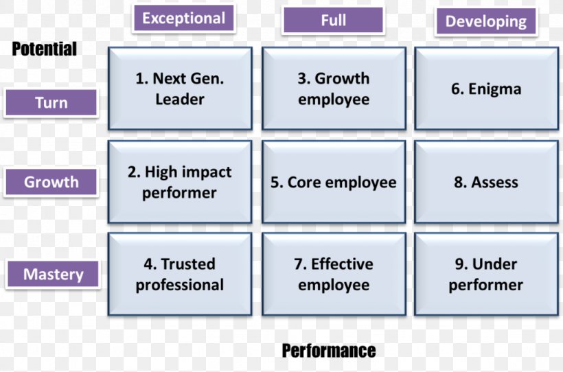 Performance Management Talent Management Organization, PNG, 1024x678px, Performance Management, Area, Certified Reference Materials, Diagram, Information Download Free