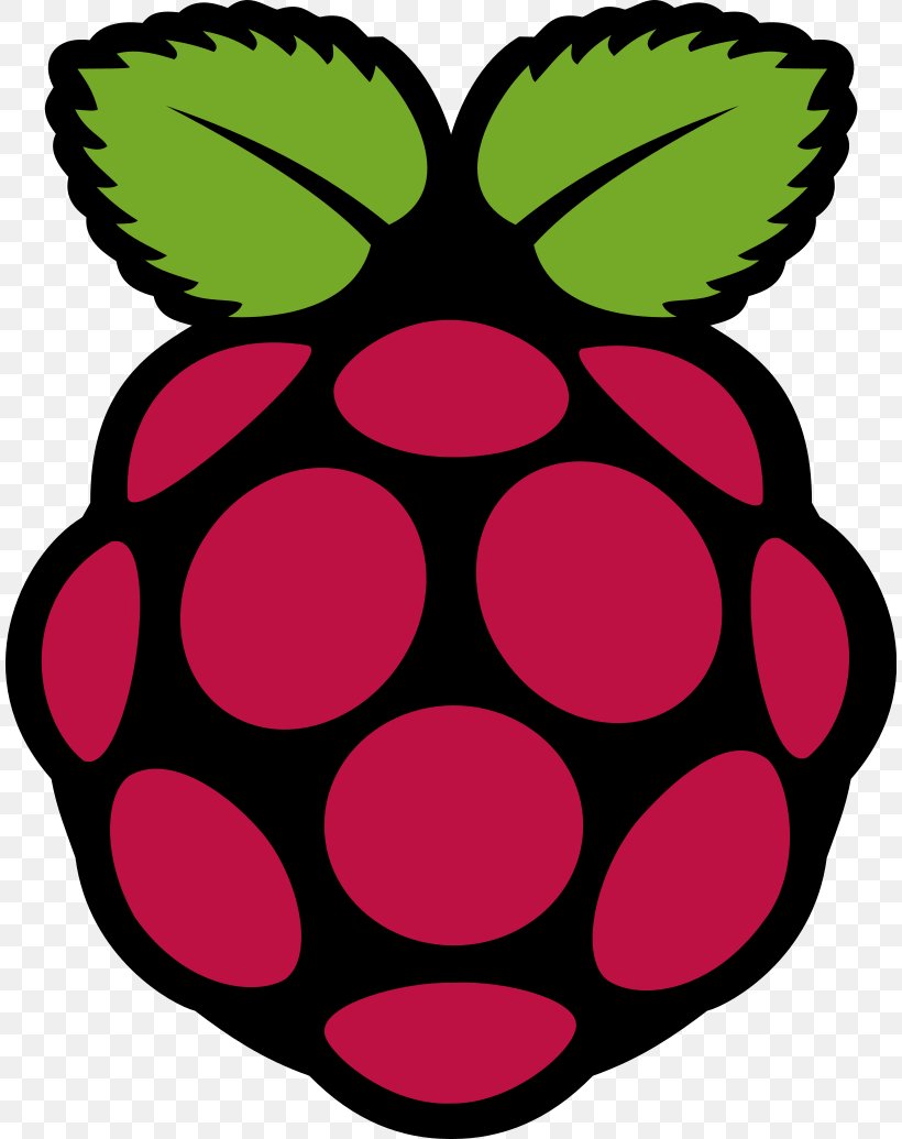 Raspberry Pi Foundation Raspbian Single-board Computer Logo, PNG, 810x1035px, Raspberry Pi, Artwork, Computer, Computer Program, Computer Software Download Free