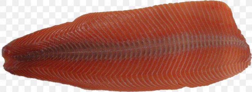 Salmon Fillet Steak Fish Skin, PNG, 995x365px, Salmon, Abdomen, Abdominal Obesity, Brown Adipose Tissue, Fat Download Free