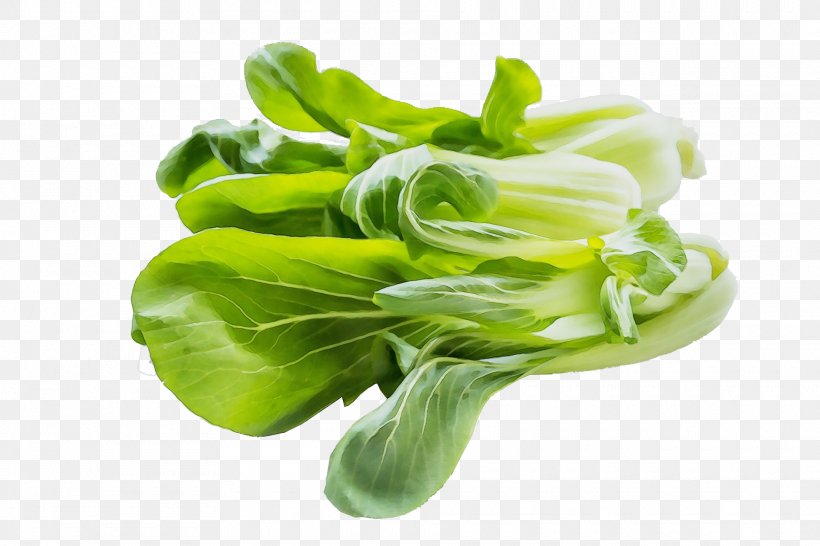 Vegetable Leaf Plant Leaf Vegetable Choy Sum, PNG, 1920x1280px, Watercolor, Chinese Cabbage, Choy Sum, Flower, Food Download Free