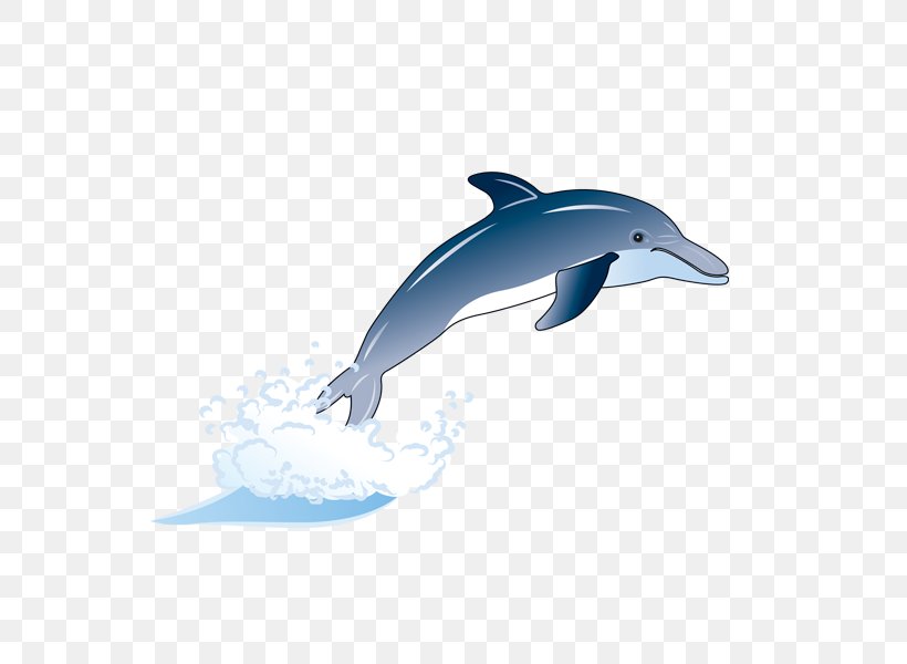 Wholphin Common Bottlenose Dolphin Short-beaked Common Dolphin Tucuxi Rough-toothed Dolphin, PNG, 600x600px, Wholphin, Animation, Common Bottlenose Dolphin, Dolphin, Fauna Download Free