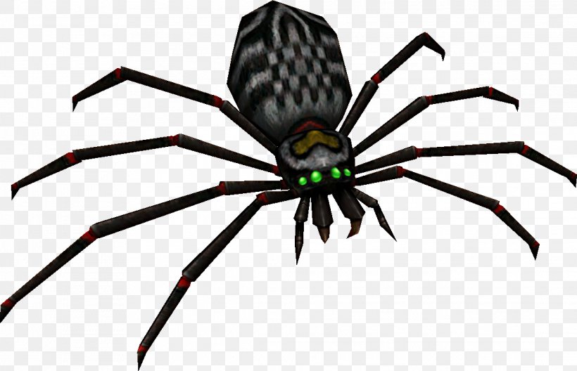 Widow Spiders Insect STX G.1800E.J.M.V.U.NR YN, PNG, 2282x1470px, Widow Spiders, Arachnid, Arthropod, Insect, Invertebrate Download Free