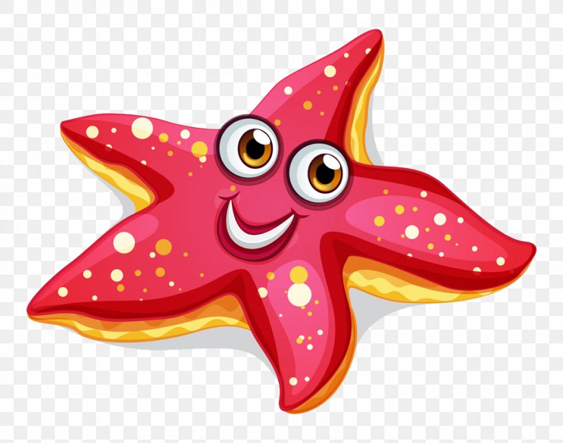 A Sea Star Starfish Clip Art, PNG, 1000x787px, Sea Star, Aquatic Animal ...