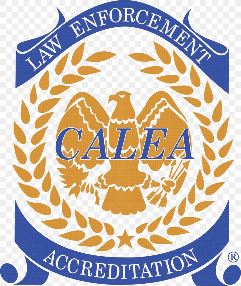 Commission On Accreditation For Law Enforcement Agencies Police Law Enforcement Agency Hattiesburg, PNG, 1377x1633px, Police, Accreditation, Area, Brand, Educational Accreditation Download Free