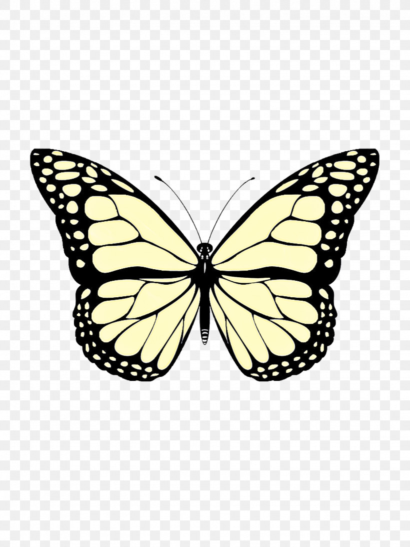 Monarch Butterfly, PNG, 1536x2048px, Butterflies, Black, Bumper Sticker, Butterfly Sticker, Butterfly Stickers Download Free