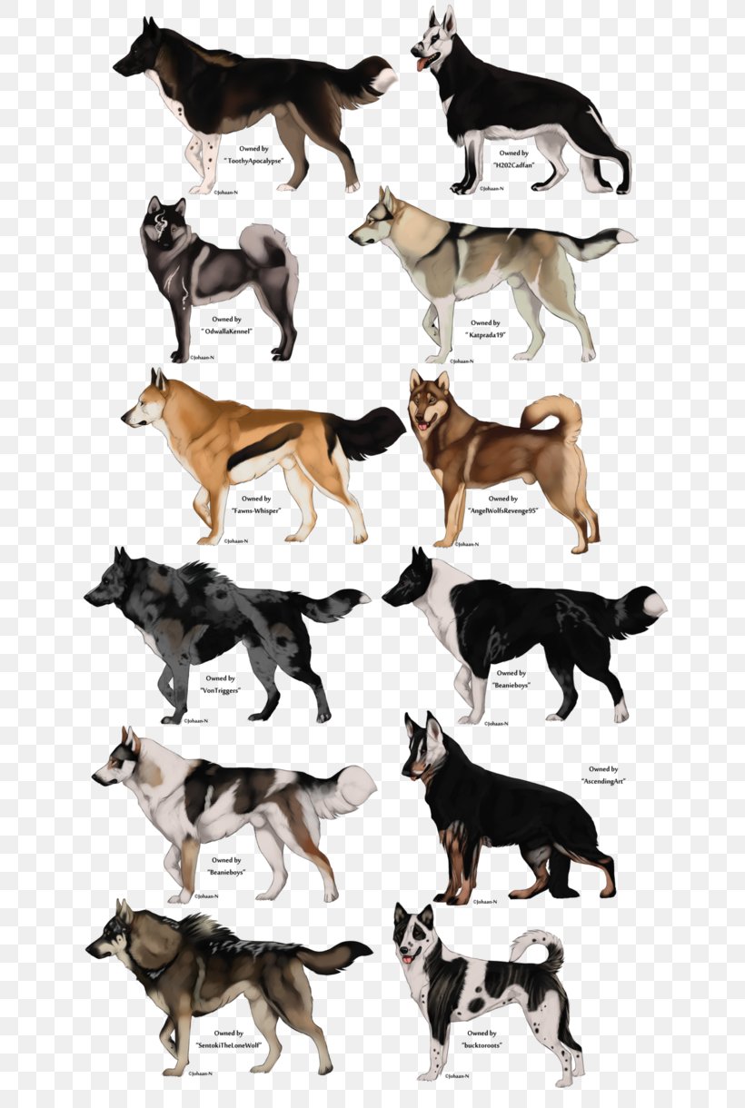 Dog Breed Whippet Italian Greyhound Puppy Drawing, PNG, 654x1220px, Dog Breed, Animal, Art, Canidae, Carnivoran Download Free