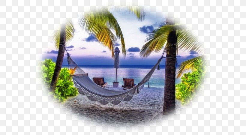 Lanikai Beach Hammock Desktop Wallpaper Hotel, PNG, 600x450px, Beach,  Caribbean, Computer, Hammock, Hawaii Download Free