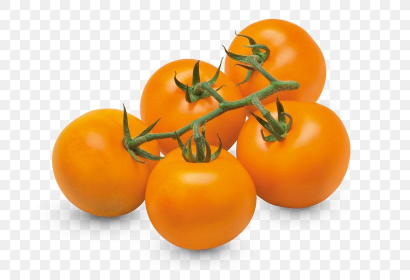 Cherry Tomato Heirloom Tomato Vegetable Orange Variety, PNG, 800x560px, Cherry Tomato, Beefsteak Tomato, Bush Tomato, Clementine, Cultivar Download Free