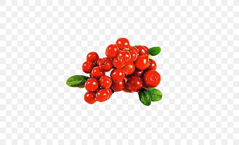 Cranberry Red Auglis, PNG, 500x500px, Cranberry, Auglis, Berry, Cherry, Color Download Free