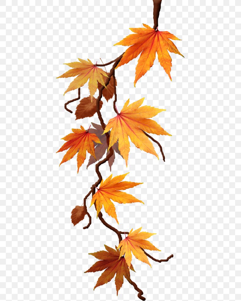 Data Compression Lossless Compression Clip Art, PNG, 439x1024px, Data Compression, Autumn, Branch, Data, Deciduous Download Free