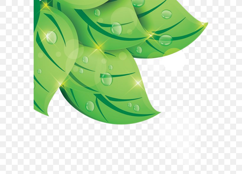 Leaf Green Drop, PNG, 591x591px, Leaf, Artworks, Drop, Green, Plant Download Free
