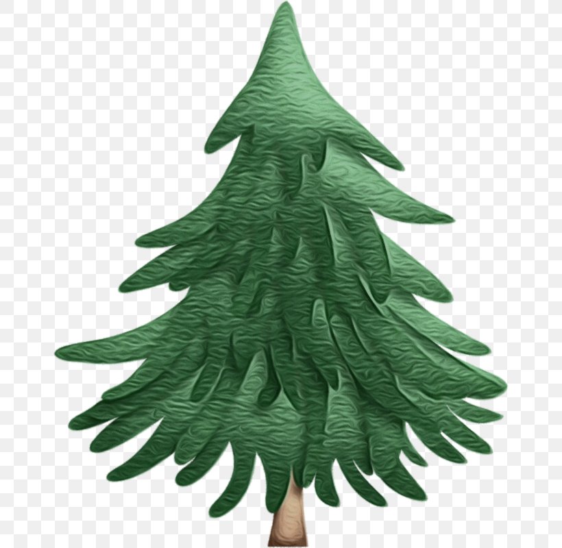 Christmas Tree, PNG, 664x800px, Watercolor, Christmas Decoration, Christmas Tree, Colorado Spruce, Evergreen Download Free