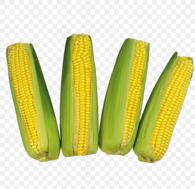 Corn On The Cob Flint Corn Waxy Corn Sweet Corn, PNG, 1031x1000px, Corn On The Cob, Commodity, Corn, Corn Kernel, Corncob Download Free