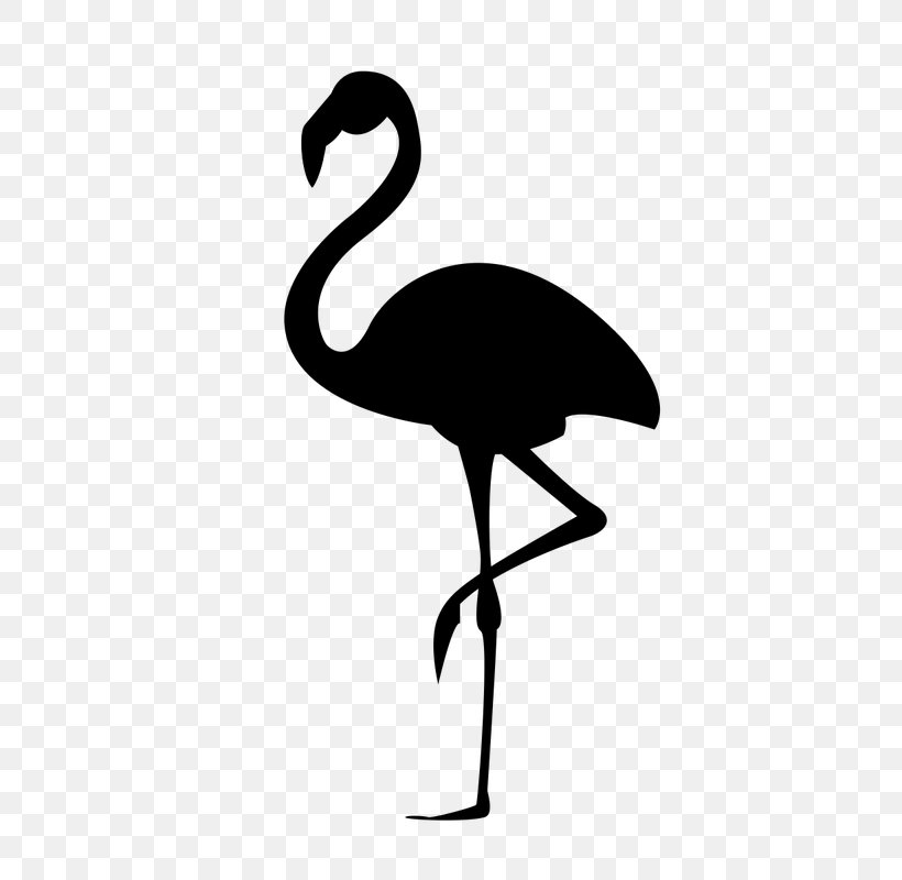 Flamingo Silhouette Stencil, PNG, 800x800px, Flamingo, Art, Beak, Bird, Black And White Download Free