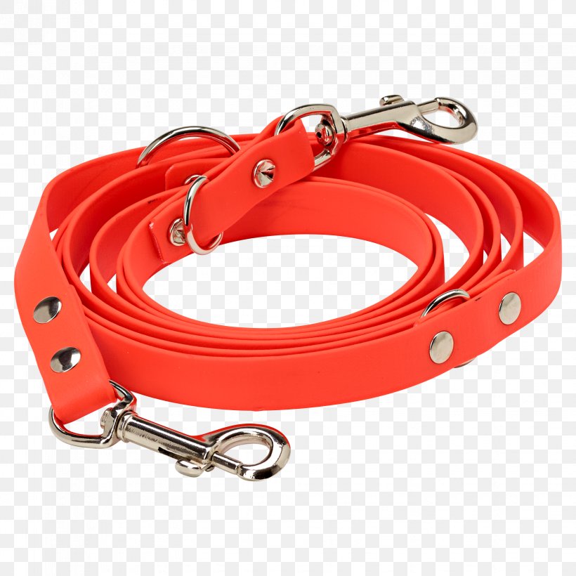 Leash Dog Collar Hunting, PNG, 1647x1647px, Leash, Askari, Clothing, Clothing Accessories, Collar Download Free