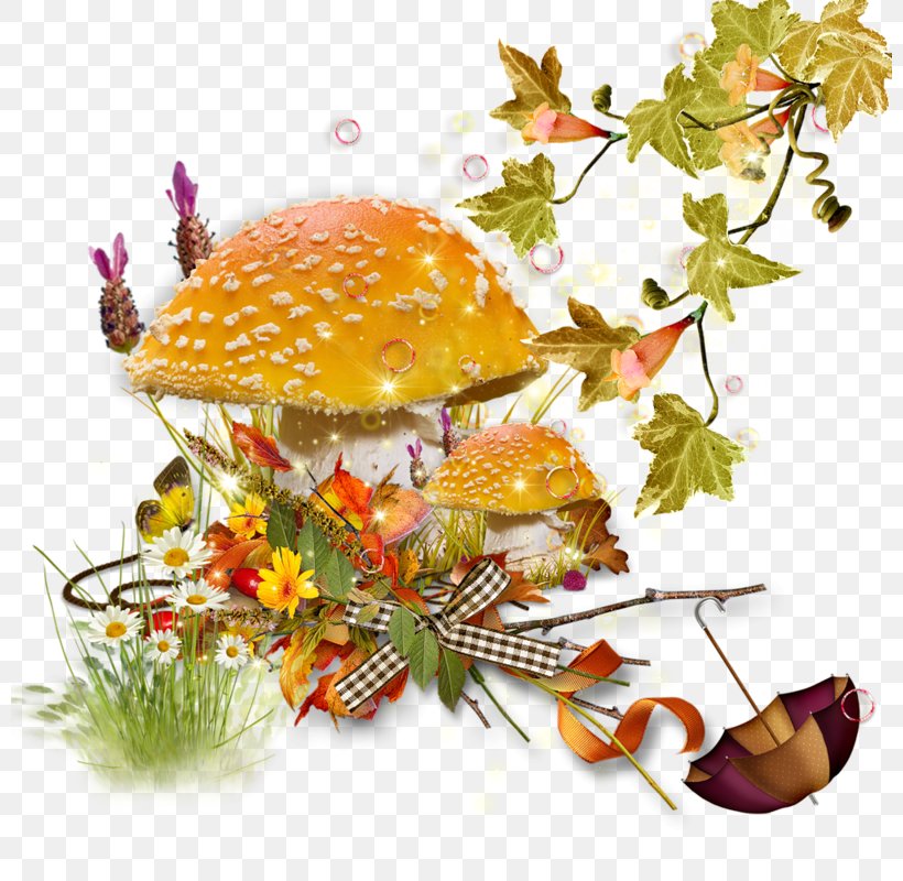 Mushroom Fungus Clip Art, PNG, 800x800px, Mushroom, Autumn, Branch, Flower, Food Download Free