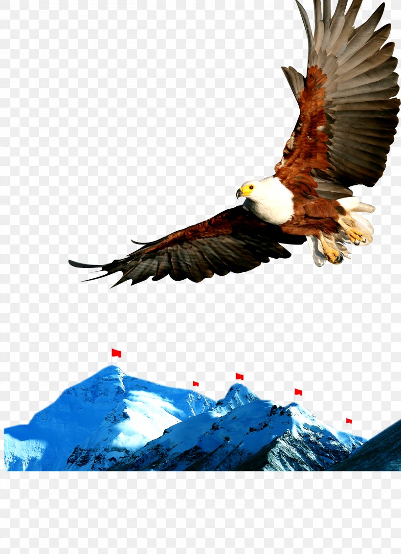 Poster Slogan Publicity, PNG, 2776x3839px, Poster, Accipitriformes, Advertising, Bald Eagle, Beak Download Free