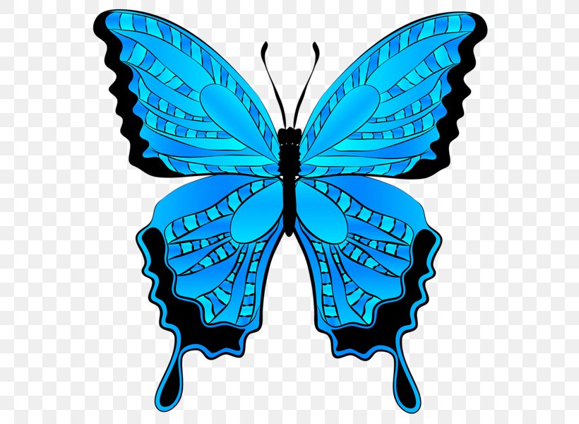 Butterfly Clip Art, PNG, 590x600px, Butterfly, Arthropod, Blue, Blue Morpho, Brush Footed Butterfly Download Free